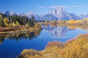 Beauty in Nature.jpg